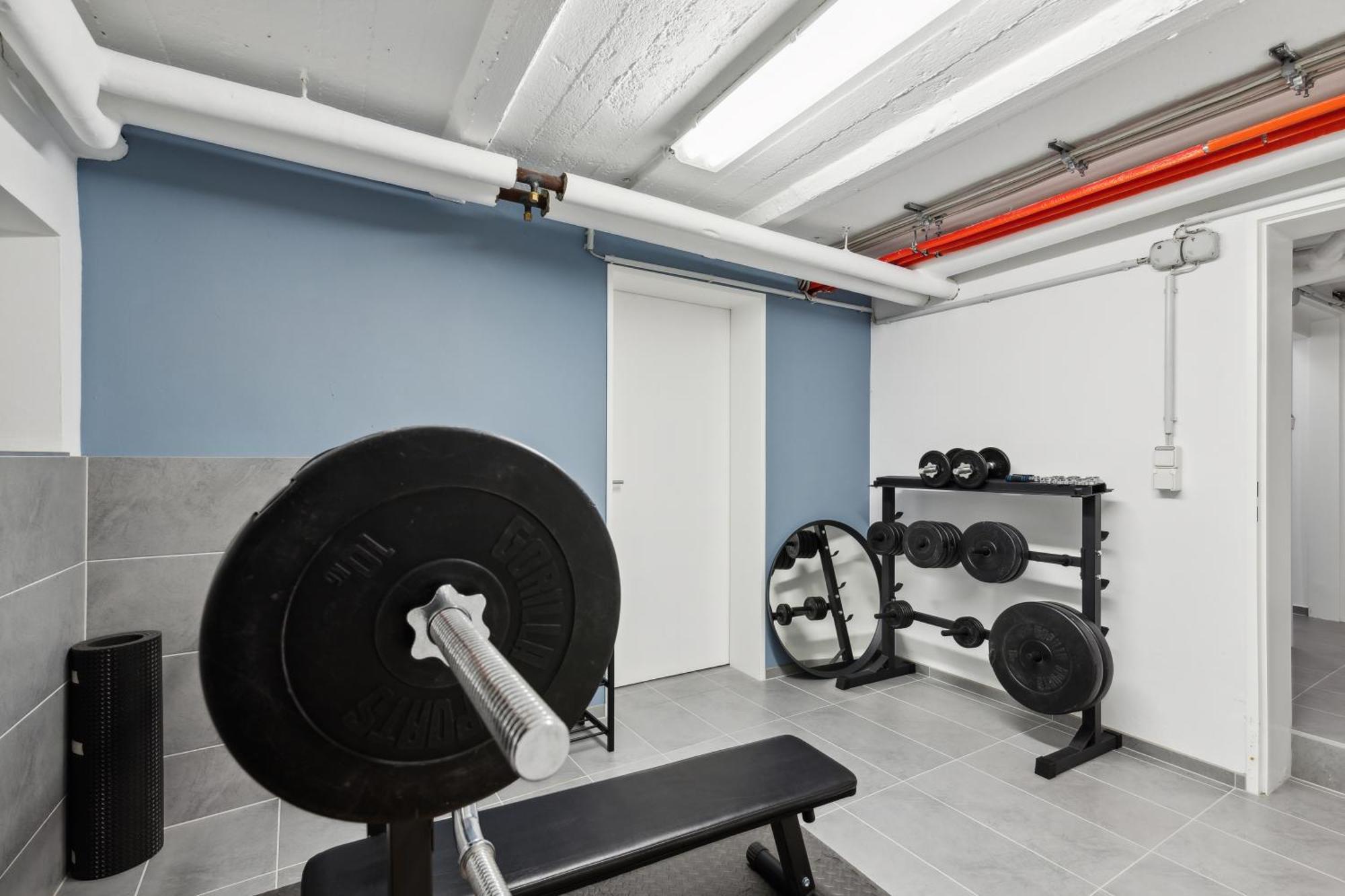 Modern Living - Basf - Ma - Pfalz - 1 Gym 2 Working Spaces ルートウィヒスハーフェン・アム・ライン エクステリア 写真